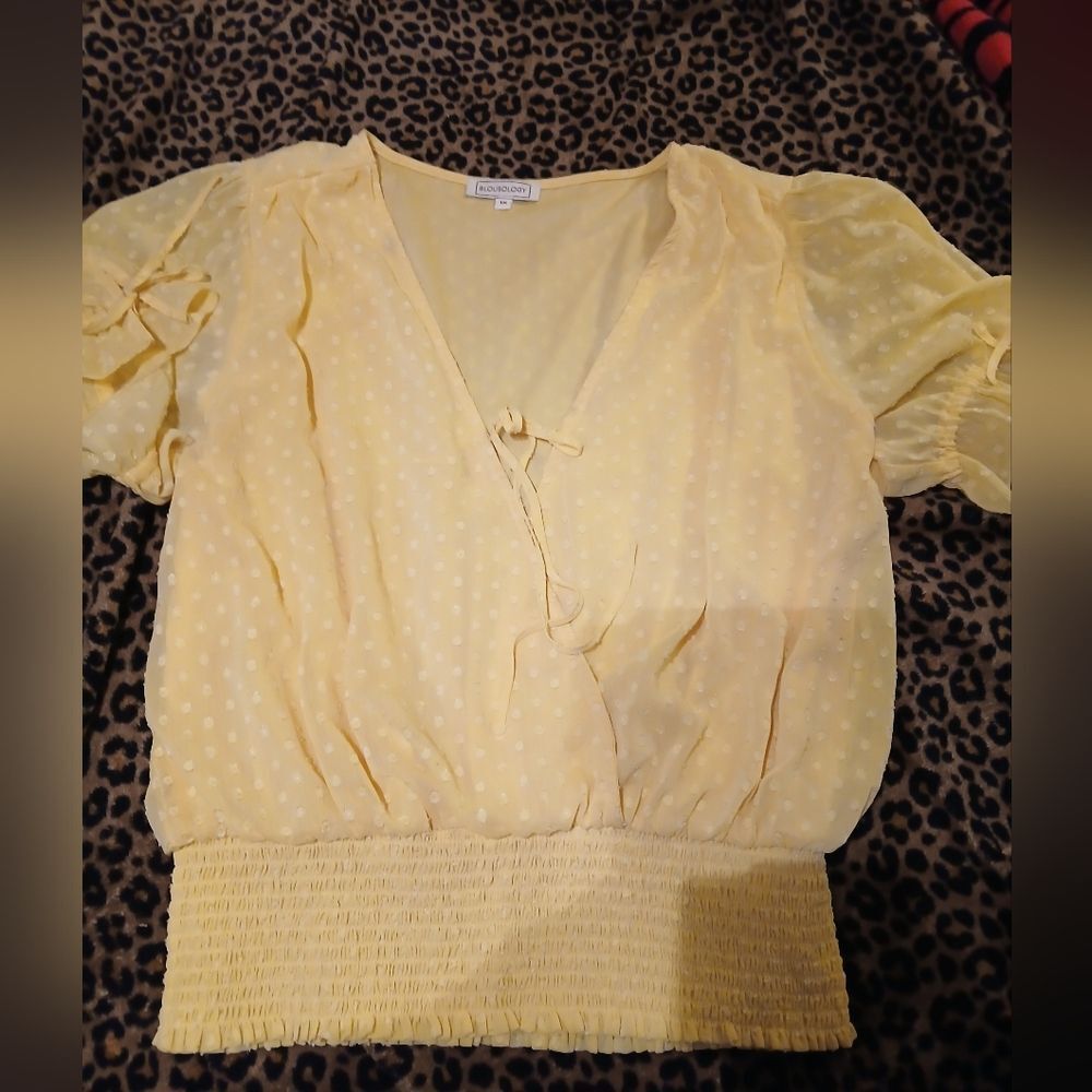 Blousology Short Sleeve Poofie Blouse Size 1X
